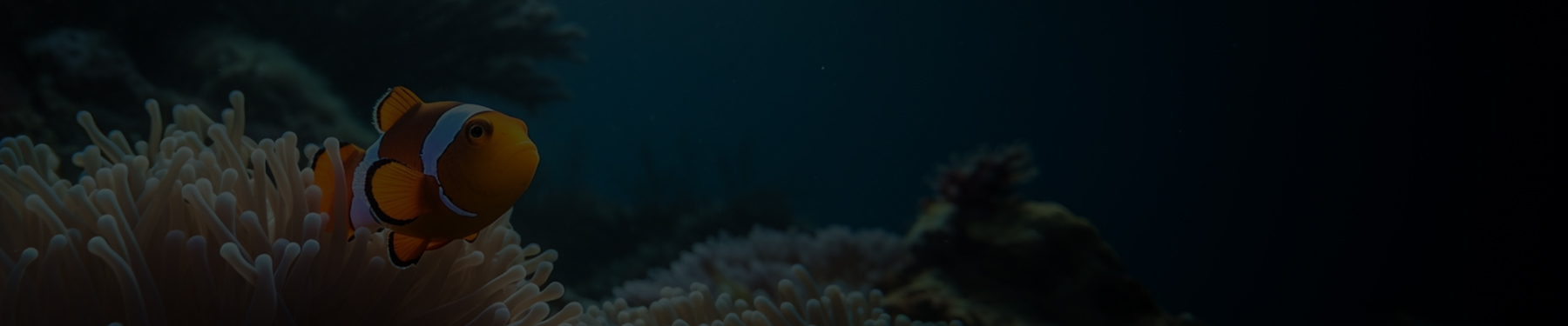 当サイトについて